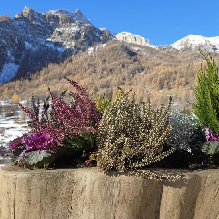La Casa di Natan Ski In and Out Alpine Retreat - Casa con 2 Camere da Letto - 23