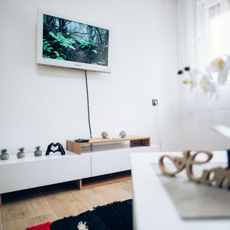 Martina Lux Apartment - One-Bedroom Apartment - 5