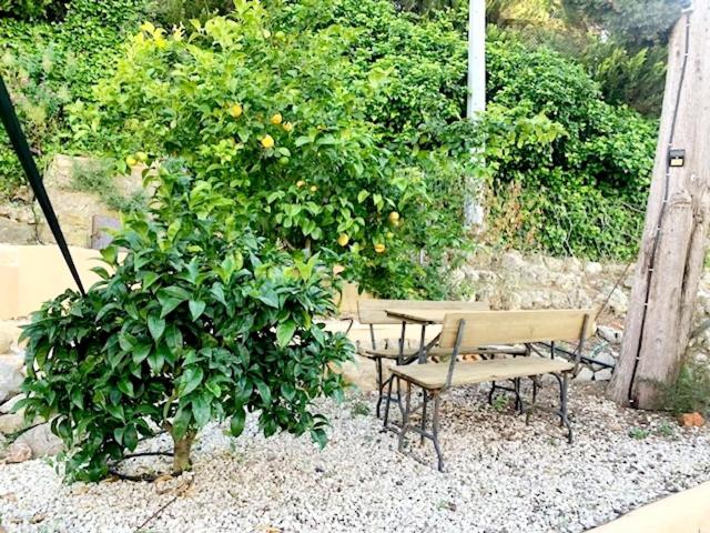 Villa Margarita - Casa - 16