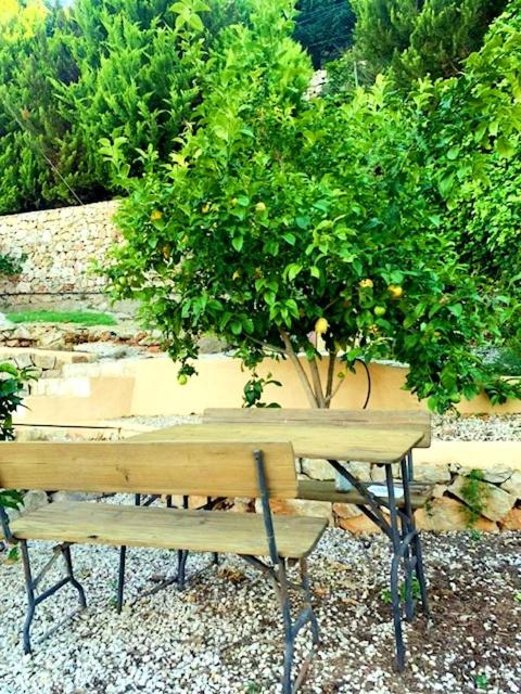 Villa Margarita - Casa - 12