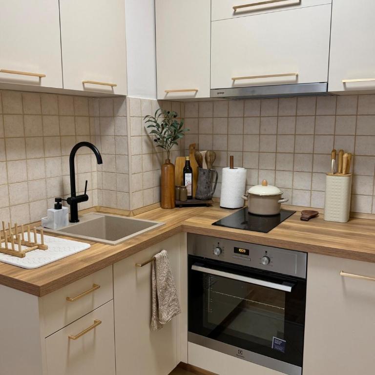 Maslina Apartment - Walk to City Center - Two-Bedroom Apartment - 21