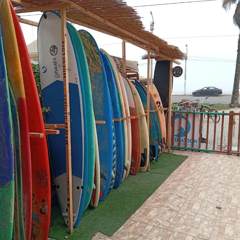 La Bellota Surf House Huanchaco - Mixed Dormitory Room - 1