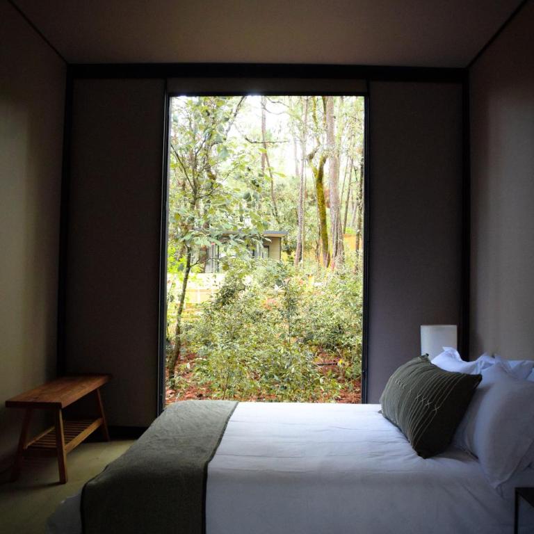 Ocoxal Avandaro - Doppelzimmer - 7