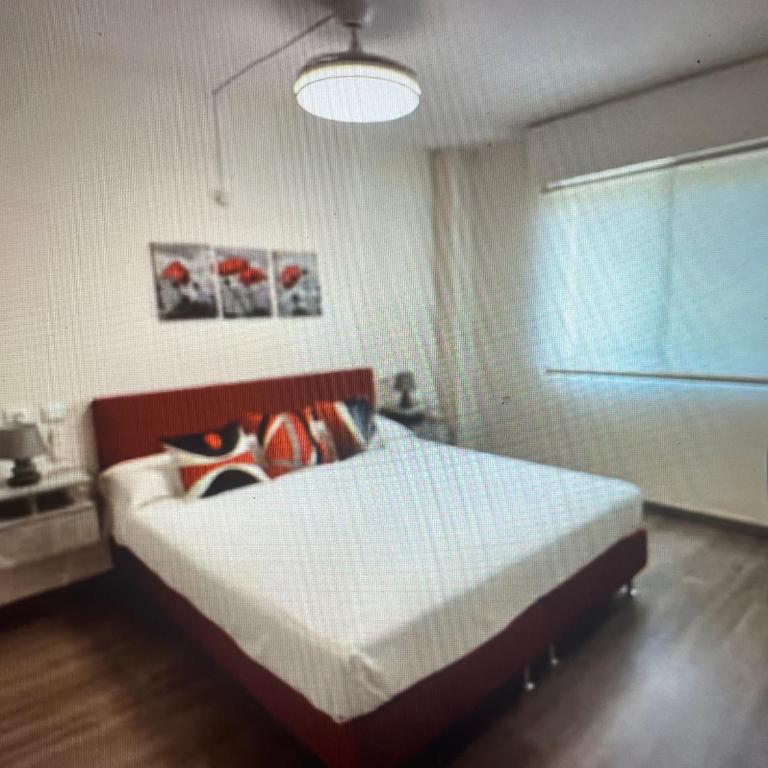Villa Marea - Villa 1 Chambre - 6