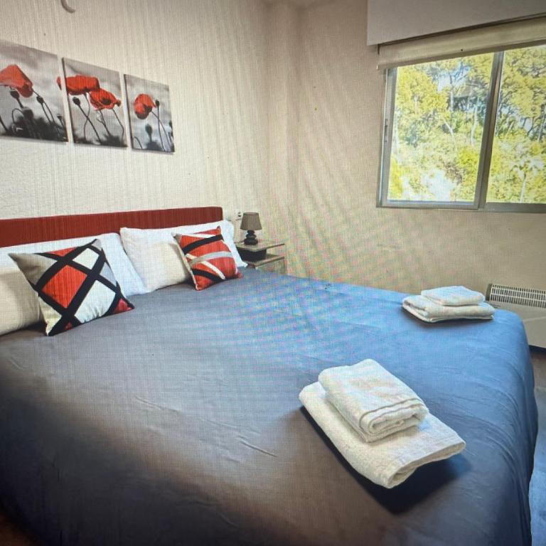 Villa Marea - Villa 1 Chambre - 12