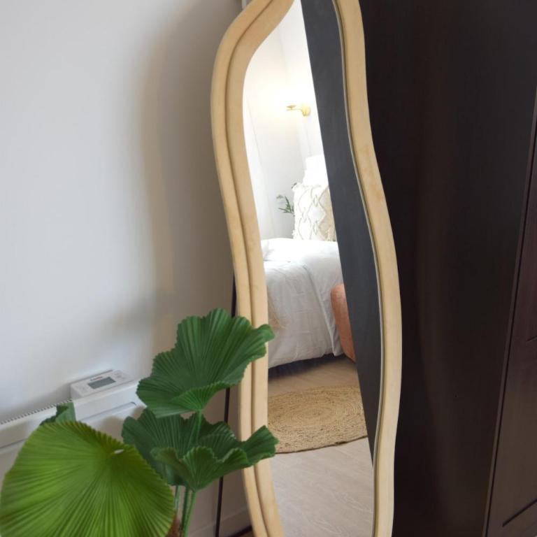 Cocon Doré Studio 7 Premium et Cozy Hotel Comfort - Appartement 1 Chambre - 5