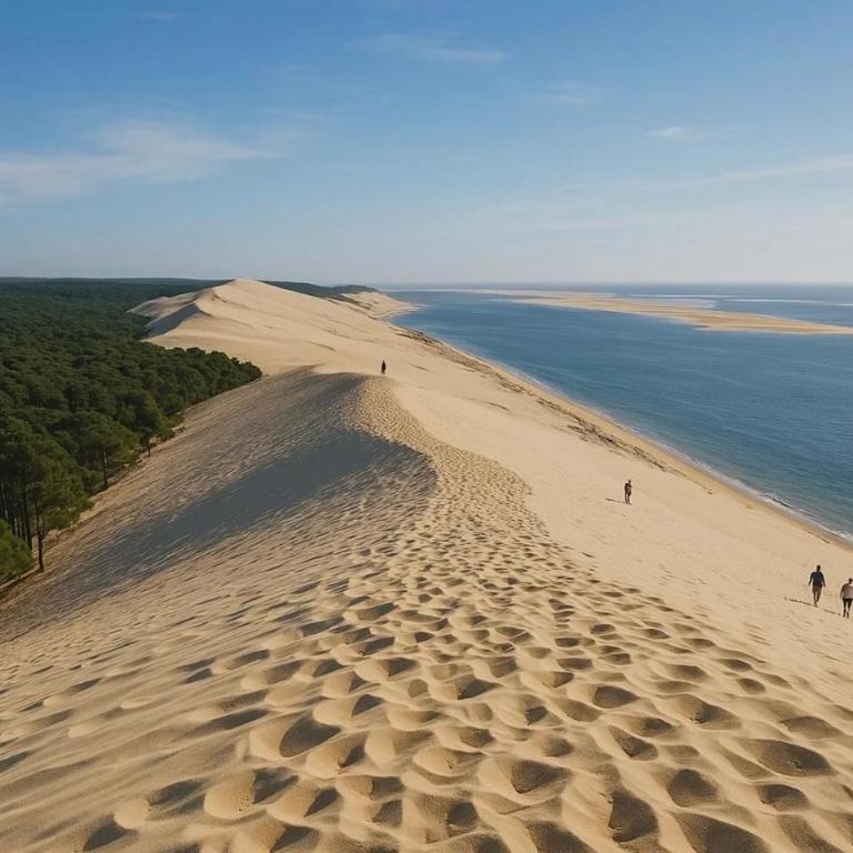 Appartement bassin d Arcachon avec balcon et parking - Monolocale con Divano-Letto - 8