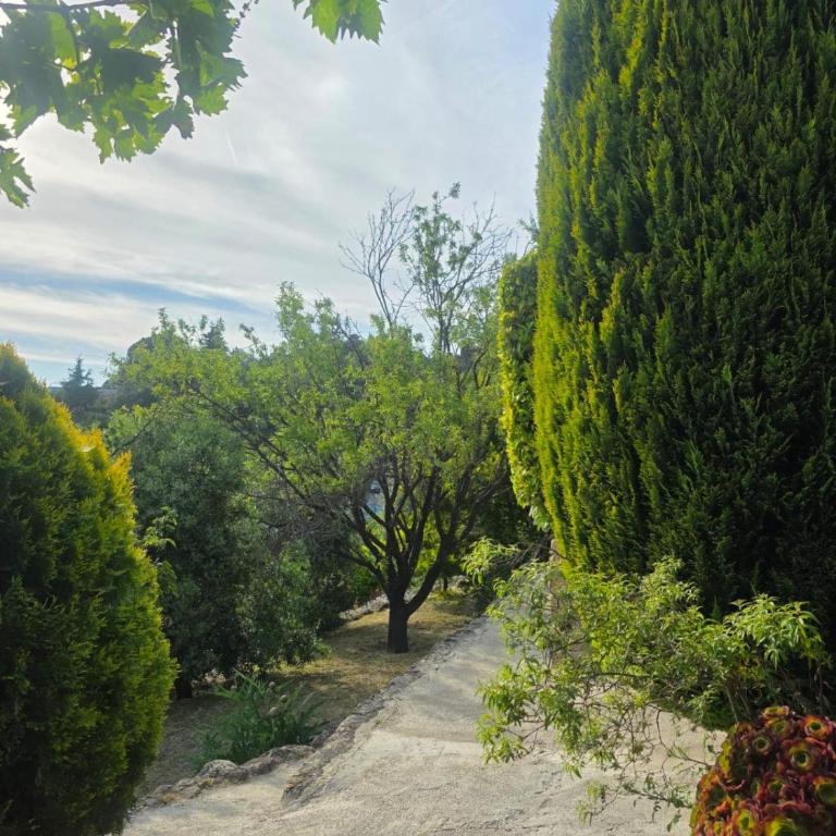 Un havre de paix à 30 min de Nice, jardin privé - Villa 2 Chambres - 3
