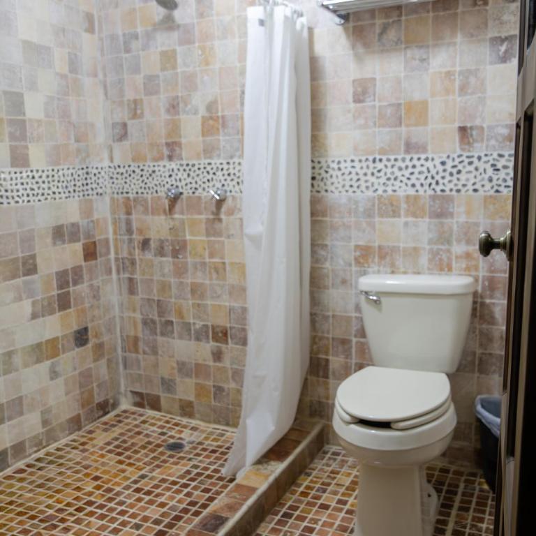Hotel Plaza San Cristóbal - Chambre Lit King-Size - 14