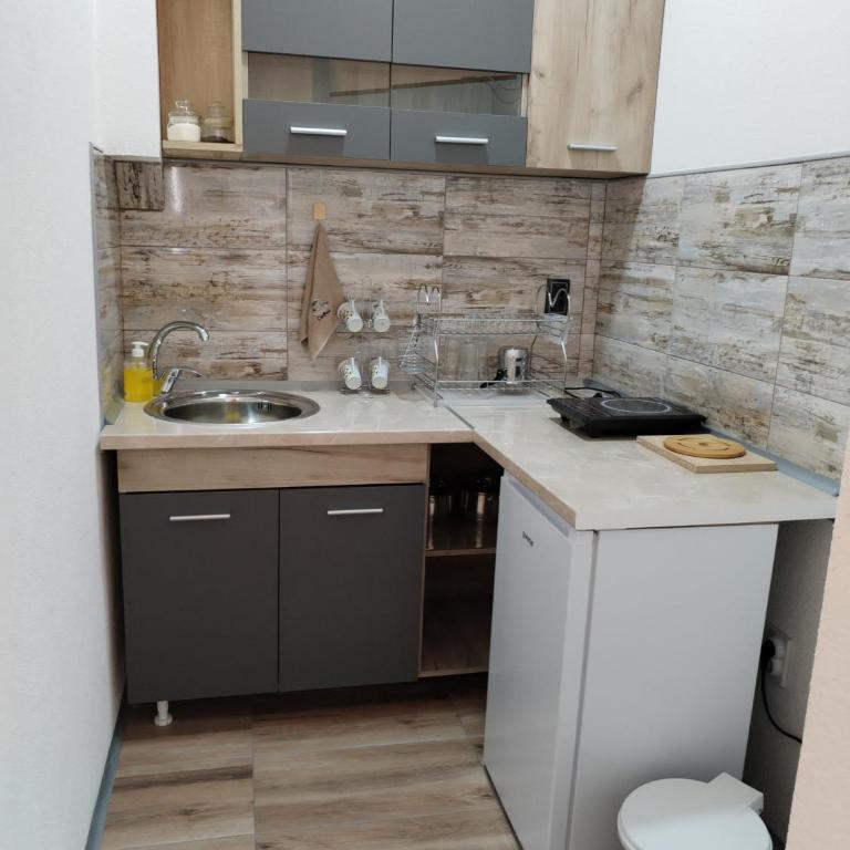 Apartman Stankovic 2 - Apartman sa 1 Spavaćom Sobom - 9