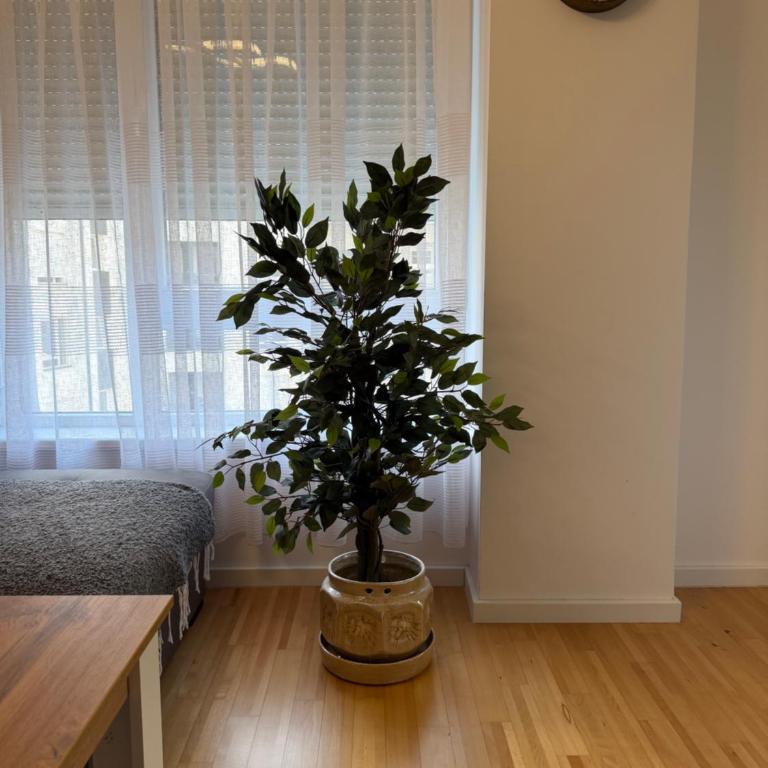 Apartment Sunny - Apartman sa 1 Spavaćom Sobom - 3