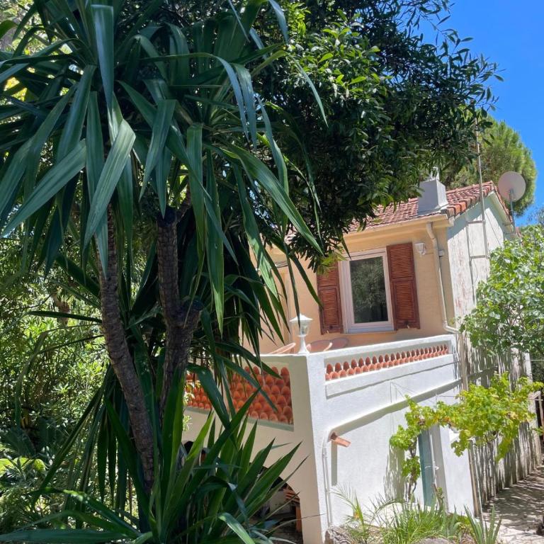 Villa dans grand jardin provençal - Villa - 38
