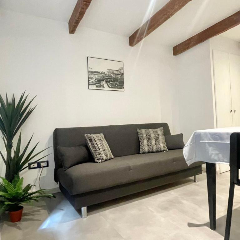 Gilbert 36 - Appartement 1 Chambre - 3