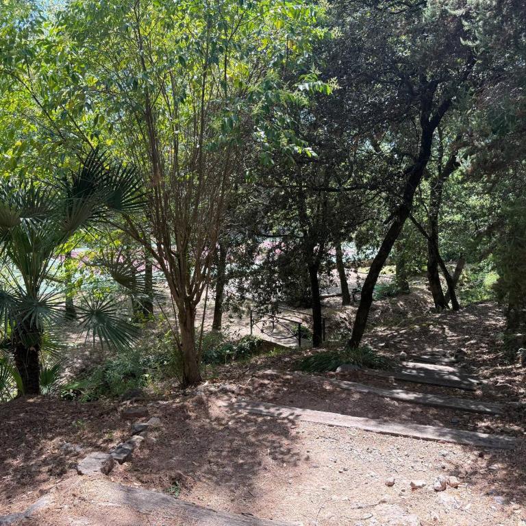 Quiet apartment - Apartamento - 21