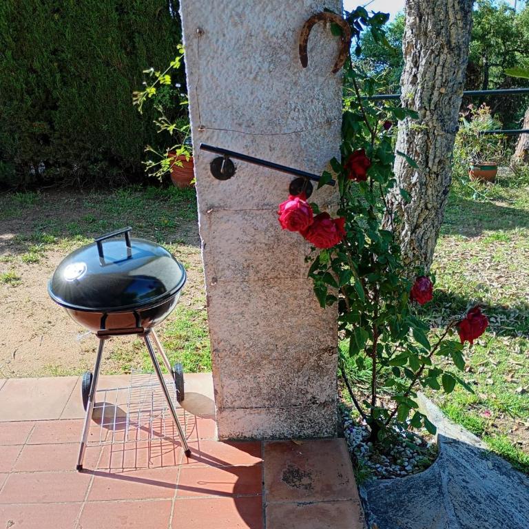 Apartamentos Escorpion Tossa de Mar - Haus mit 3 Schlafzimmern - 3