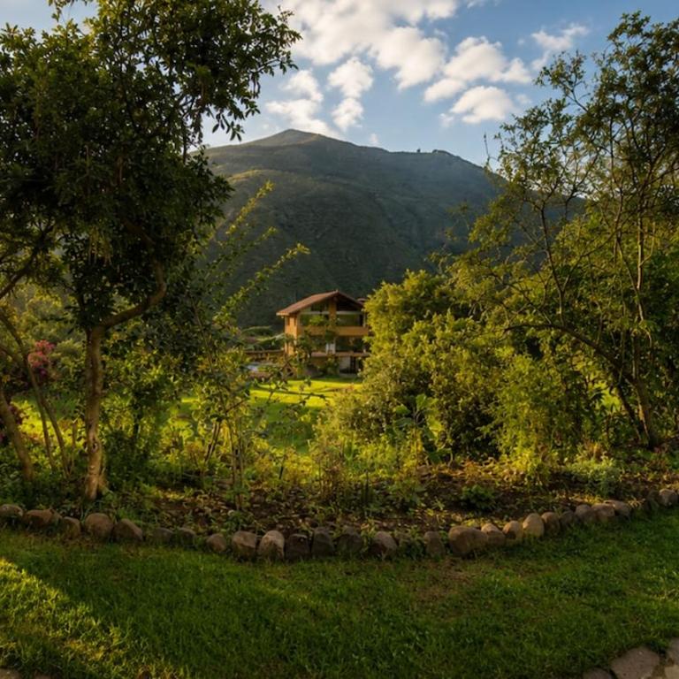Casa del Pisonay, descanso en la naturaleza - Six-Bedroom House - 3