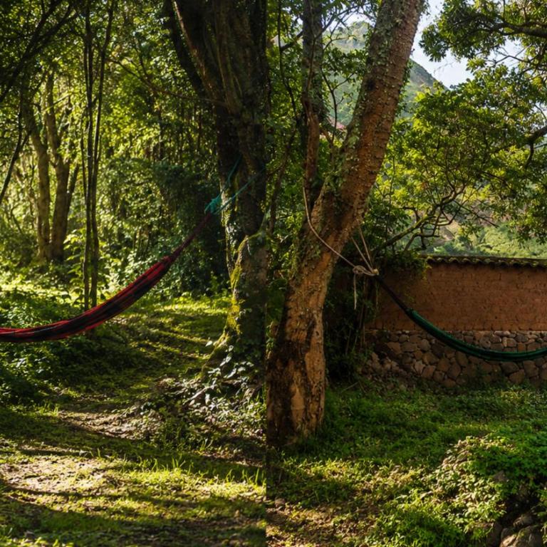 Casa del Pisonay, descanso en la naturaleza - Six-Bedroom House - 12
