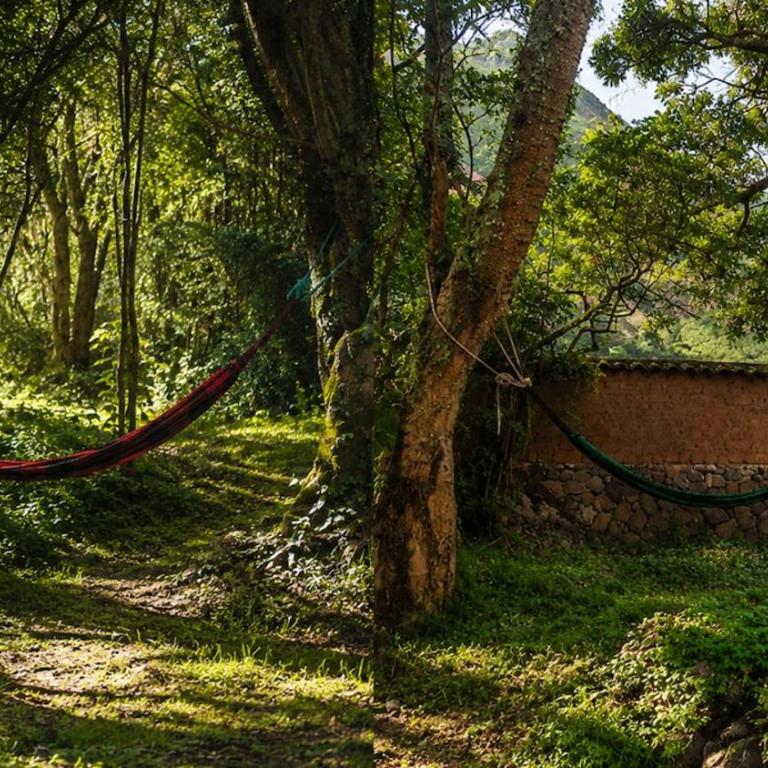 Casa del Pisonay, descanso en la naturaleza - Six-Bedroom House - 44