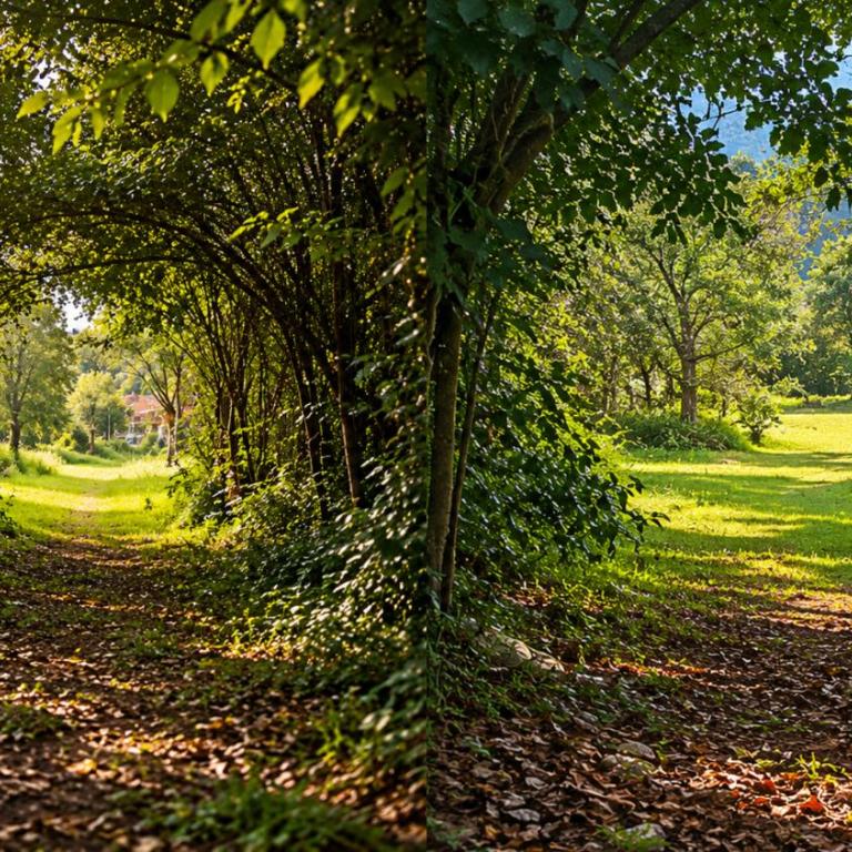 Casa del Pisonay, descanso en la naturaleza - Six-Bedroom House - 72
