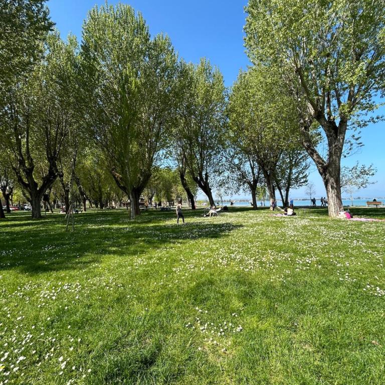 Oasi Casa Vacanze Sirmione Spiaggia Grò - Apartamento de 1 dormitorio - 14