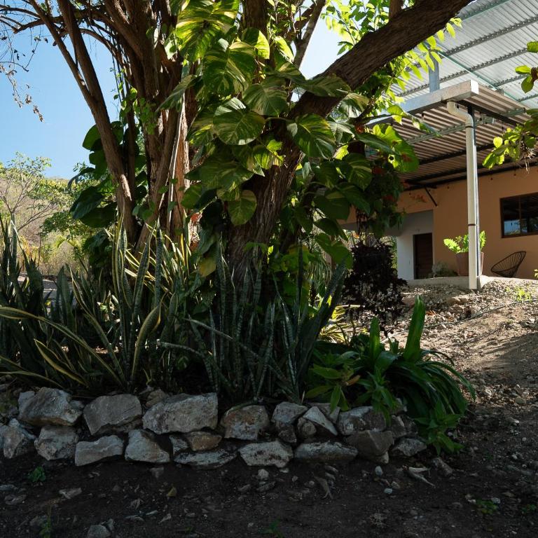 BosqueEscondido - Apartamento de 1 dormitorio - 21