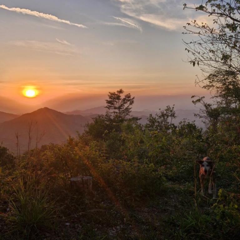Ecologic Mountain Cabin, amazing view - 4-Bed Mixed Dormitory Room - 2