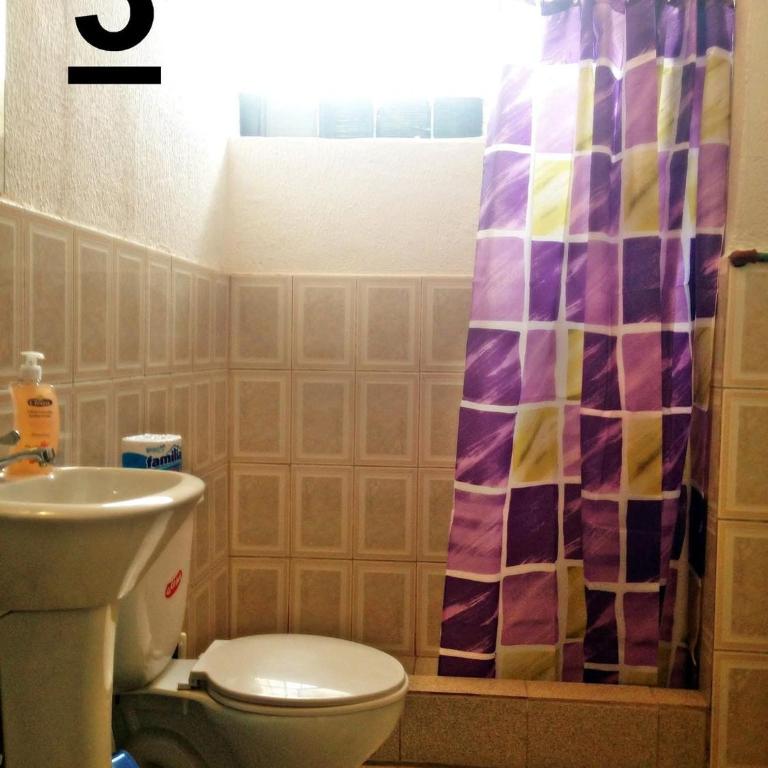 Guesthouse Nelson L - Large Double Room - 3