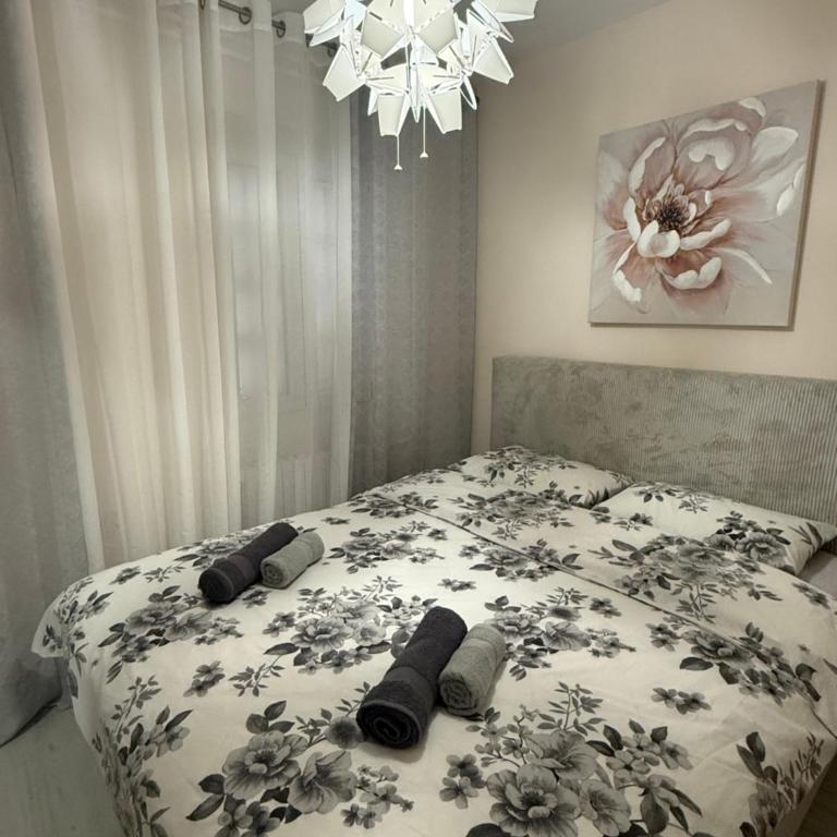 Central NS - One-Bedroom Apartment - 1