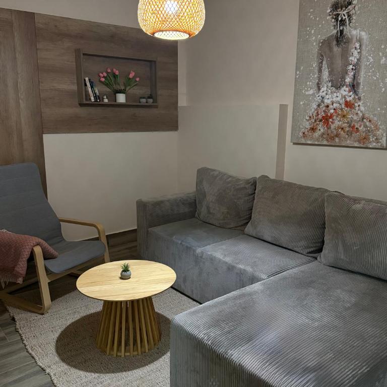 Central NS - One-Bedroom Apartment - 5