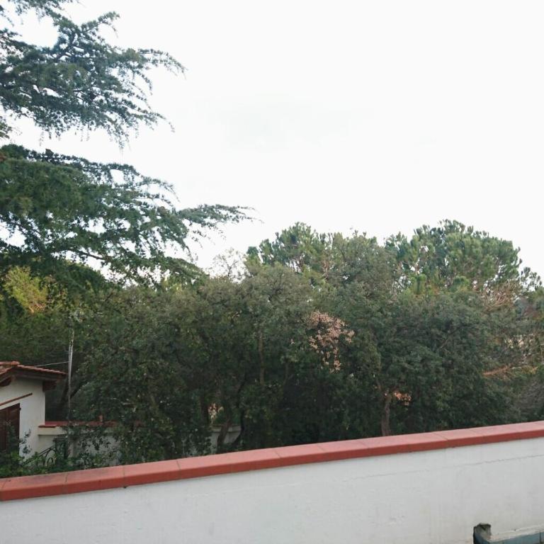 Elba Residence - Monolocale con Terrazza - 3