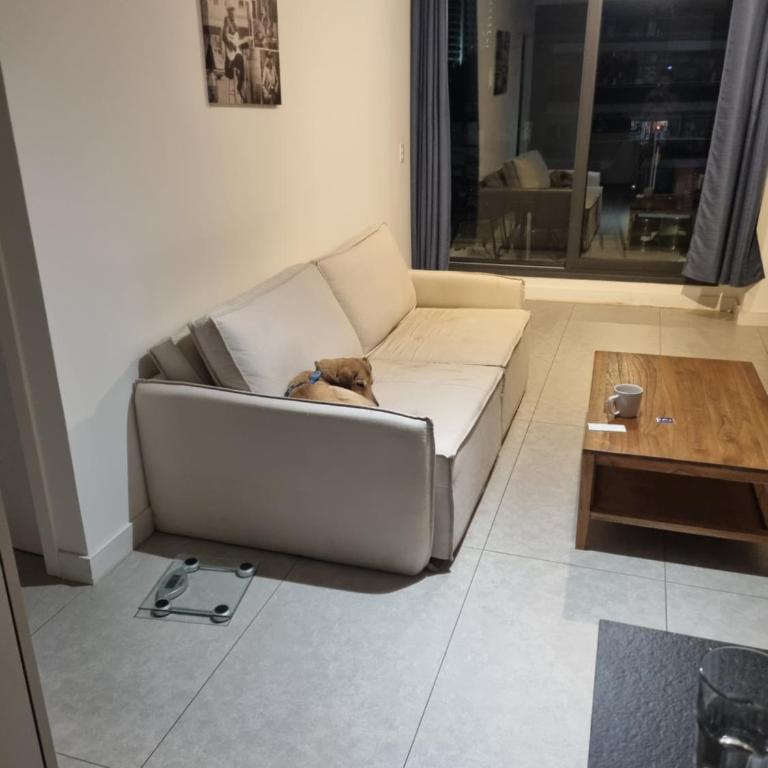 Tomy y eli alojamiento - Apartamento de 1 dormitorio - 9