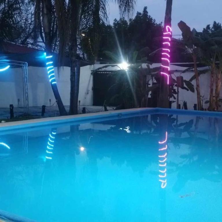 Bolet - Tienda - 10