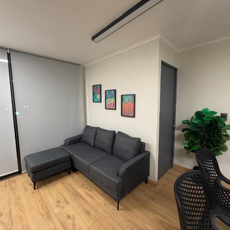 Santiago histórico II barrio Lastarria - Apartamento de 2 dormitorios - 1