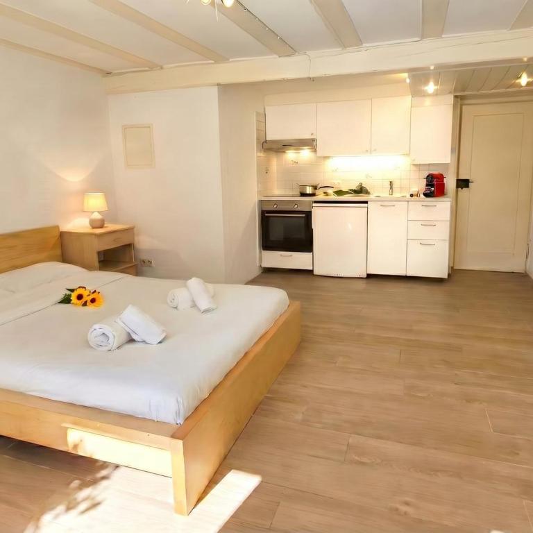 Casa Cecilia Ascona 500m from the Lake - Happy Rentals - Monolocale - 16