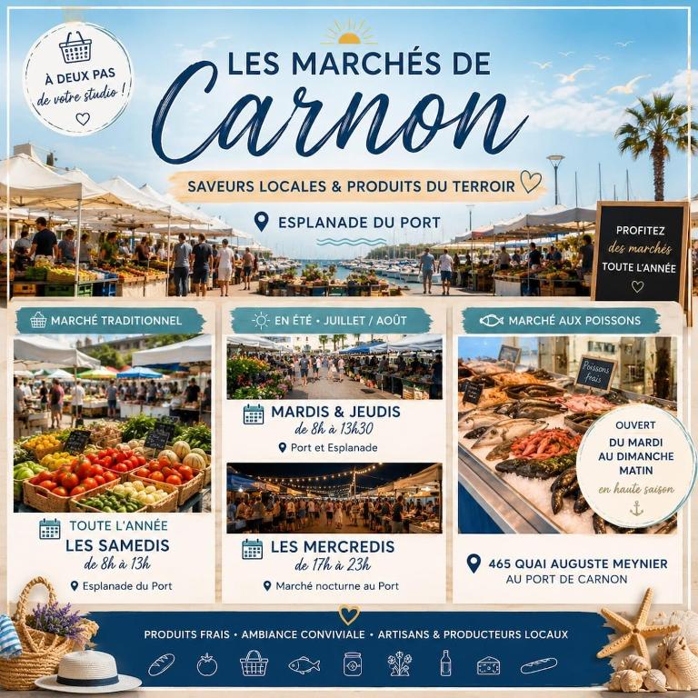 Perle du Port Carnon Beach Mauguio - Appartement 1 Chambre - 12