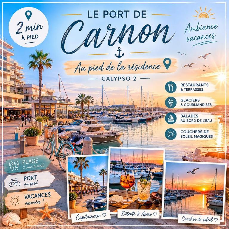 Perle du Port Carnon Beach Mauguio - Appartement 1 Chambre - 14