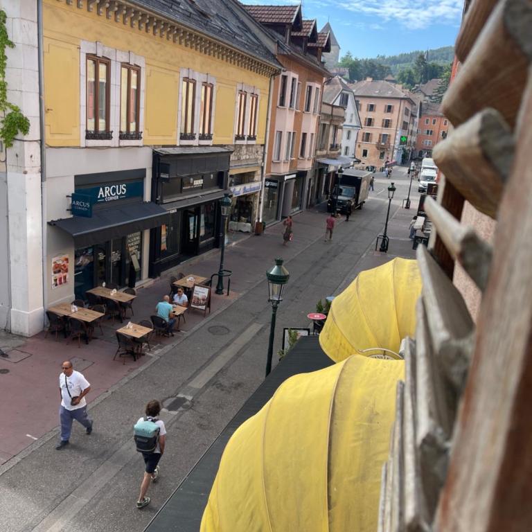 Charmant appartement, centre piéton Vieille Ville Annecy - Appartement avec Balcon - 3