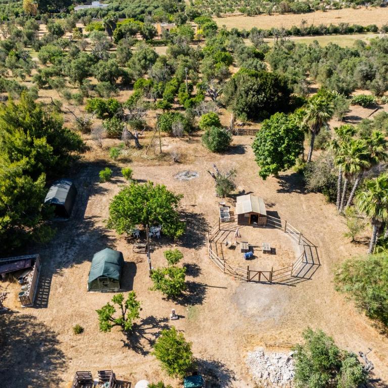 Villa De Santis Gallipoli Relax e Natura - Two-Bedroom House - 40