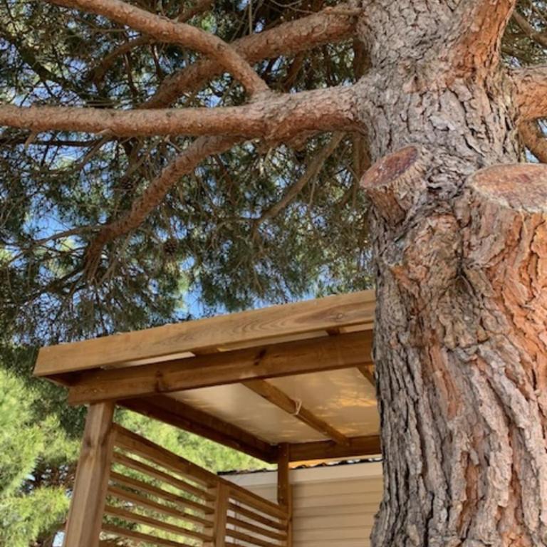 Camping Mar'Estang - Bungalow - 1