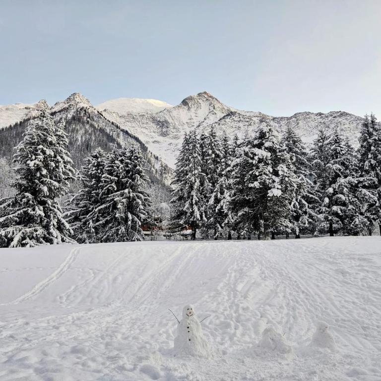 Beautiful Apartment with views of Mont Blanc - Appartement 2 Chambres - 18