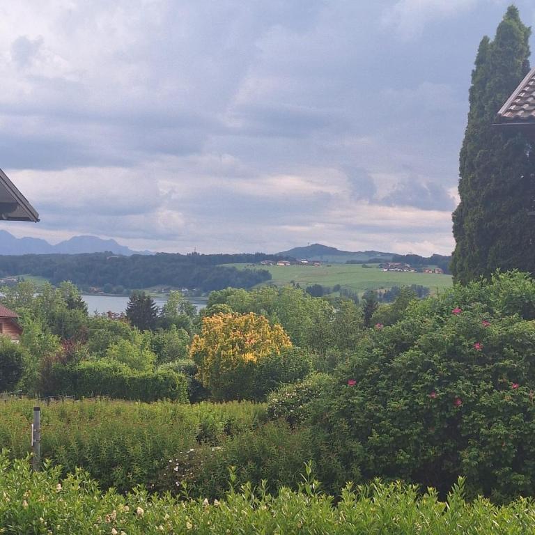 Ernies Gartentraum - Apartment mit Seeblick - 11