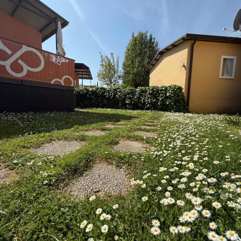 Camping Village Butterfly - Bungalow - 6