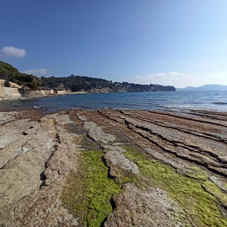 La Petite Crique - Beach - WiFi - Host Provence - Appartamento con 1 Camera da Letto - 38