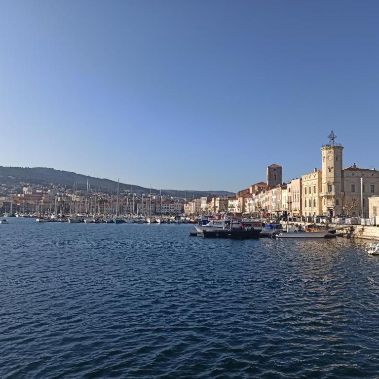 La Petite Crique - Beach - WiFi - Host Provence - Appartamento con 1 Camera da Letto - 48