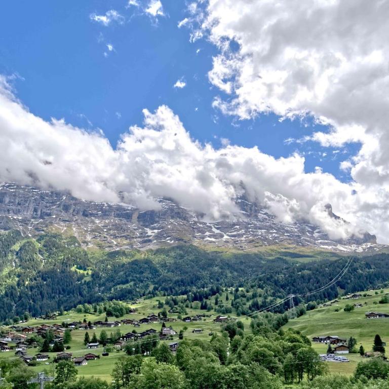 Apartment Eiger - GRIWA RENT AG - Apartment mit 3 Schlafzimmern und Balkon - 18
