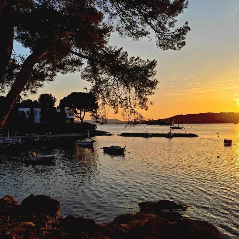 Tu oasis en Juan-les-Pins playa y parking - Apartamento - 12
