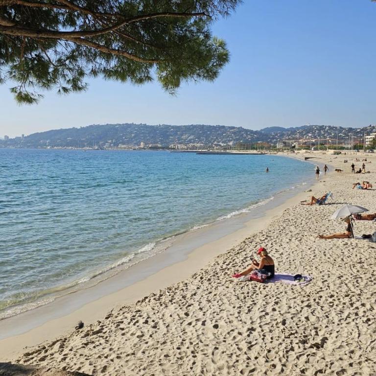 Tu oasis en Juan-les-Pins playa y parking - Apartamento - 13