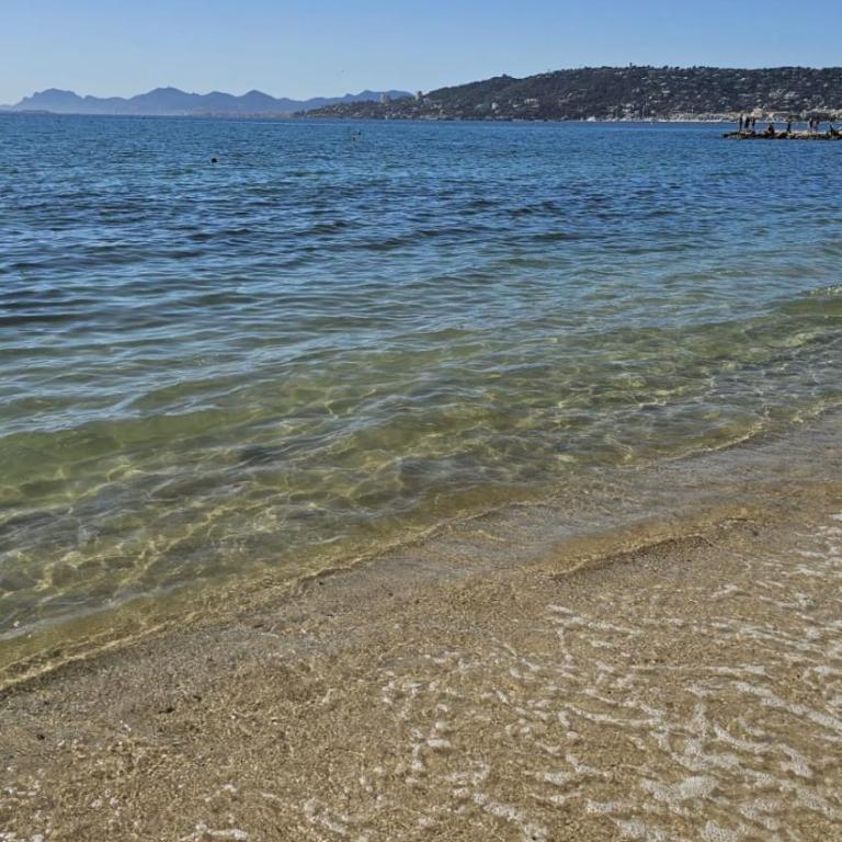 Tu oasis en Juan-les-Pins playa y parking - Apartamento - 22