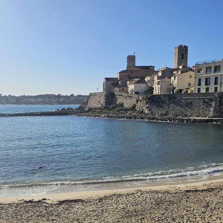 Tu oasis en Juan-les-Pins playa y parking - Apartamento - 24