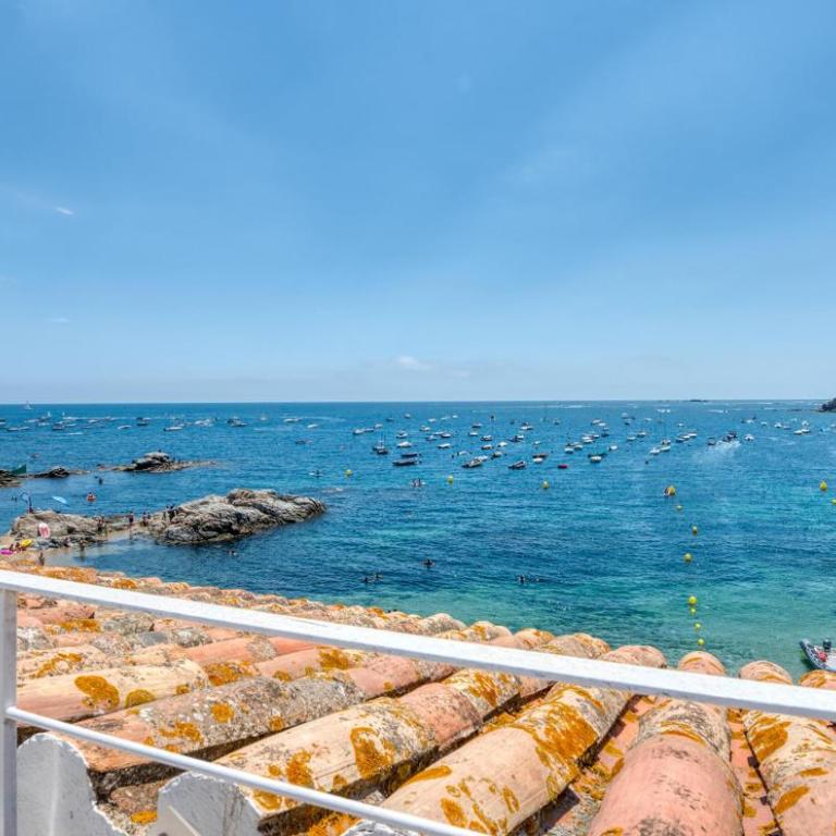 Exclusive Position Front Line Apartments Calau - Apartment - 12